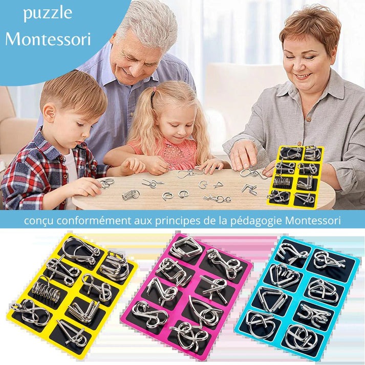 Metal Wire Puzzle Set of 24 with Pouch