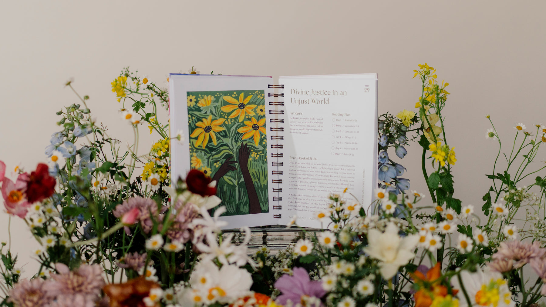 A Beautiful Year in the Bible: The 52-Week Bible Study for Women