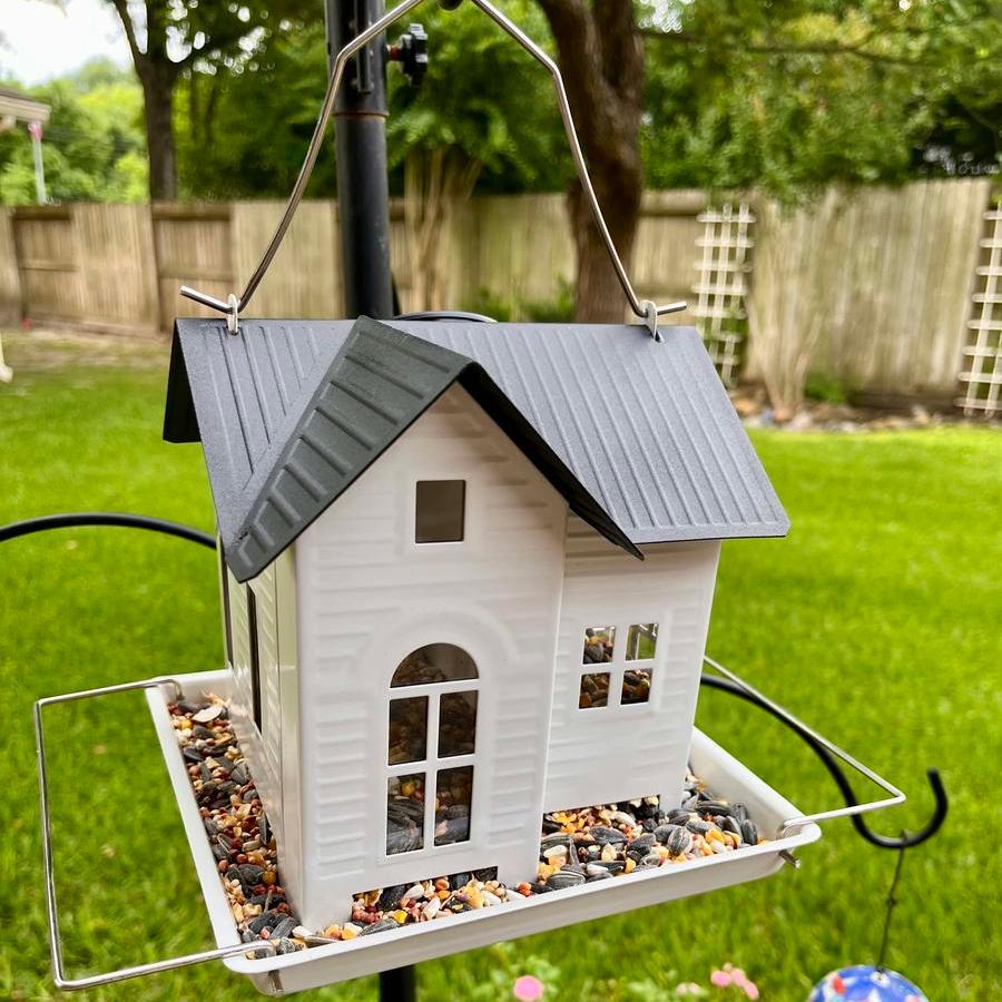 🔥Last Day-off 49%🔥Solar Bird Feeder