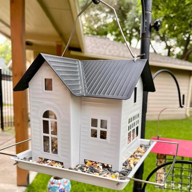 🔥Last Day-off 49%🔥Solar Bird Feeder