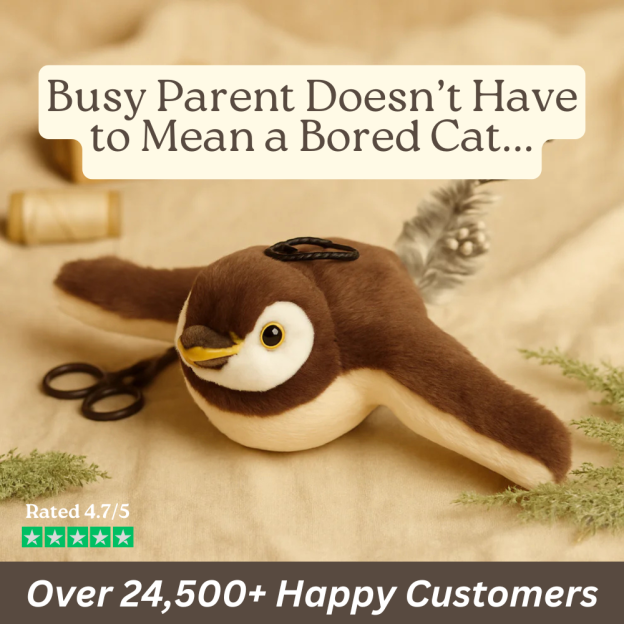 Animated cat and bird toy