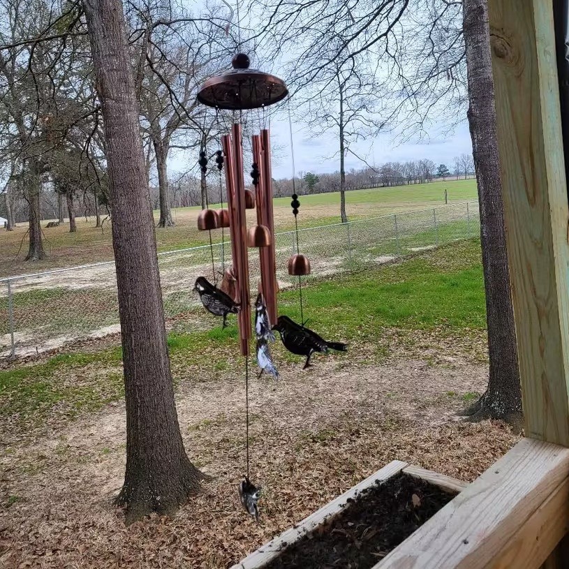 Outdoor Hummingbird Wind Chimes-Retro Aluminum Bird Windchimes🐦