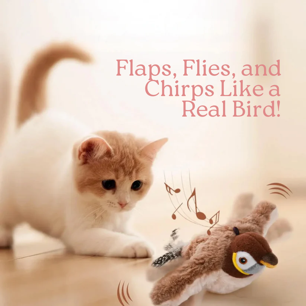 Animated cat and bird toy