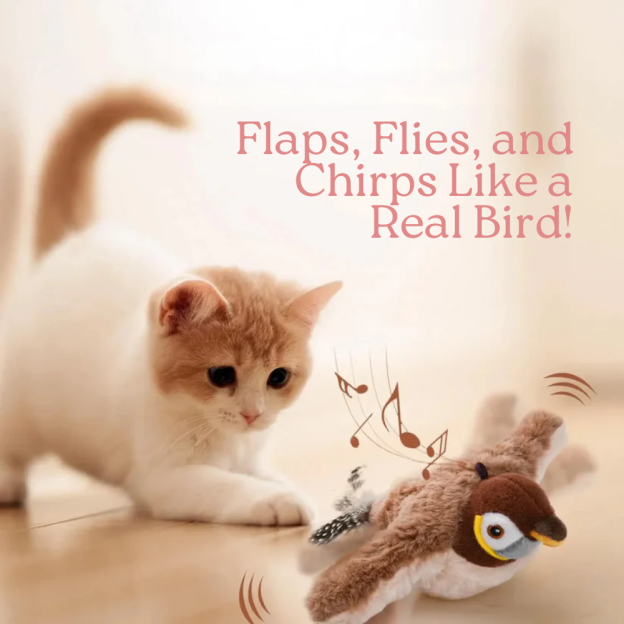 Animated cat and bird toy