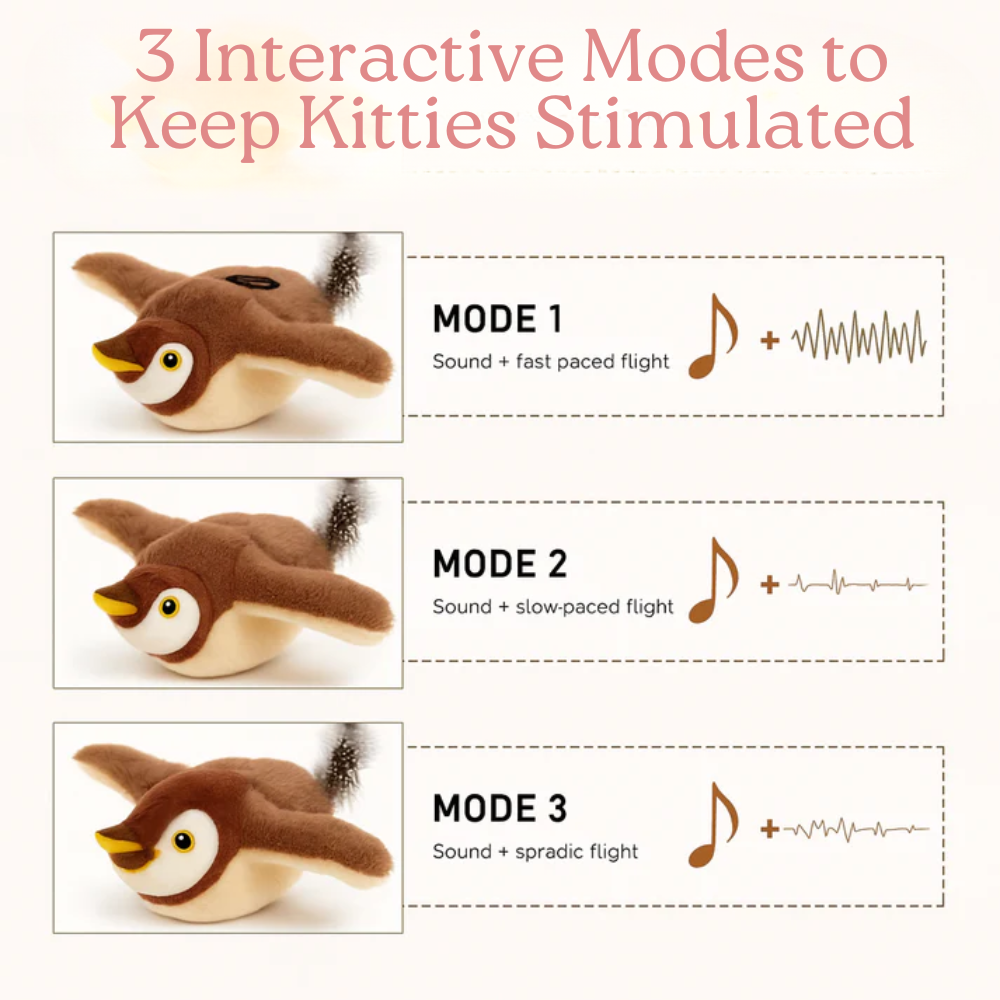 Animated cat and bird toy