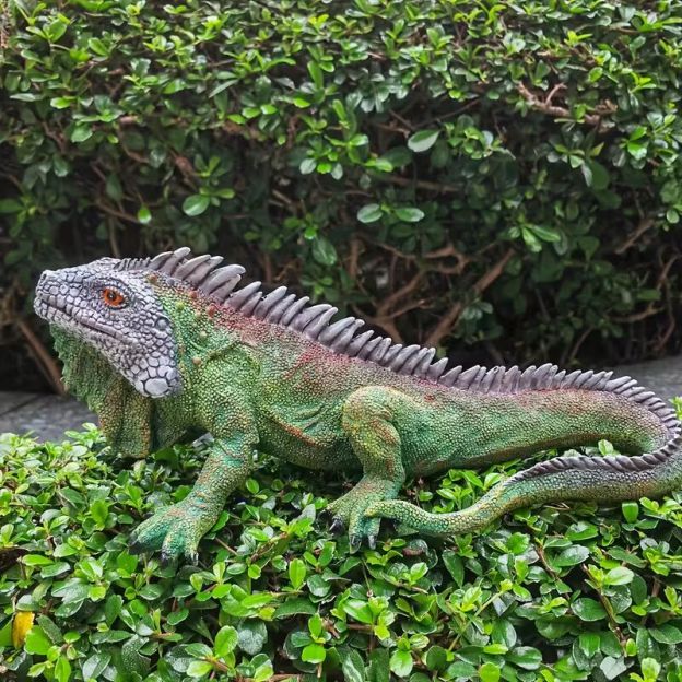Realistic Iguana Lizard Statue