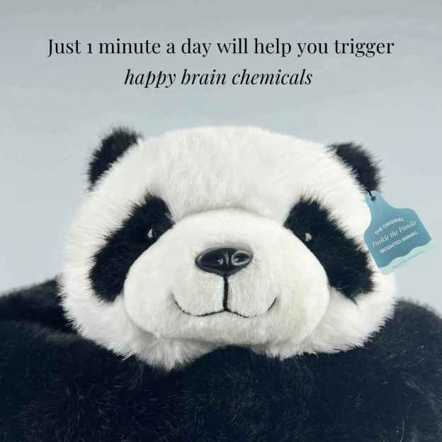 Pookie the Panda Weighted Animal