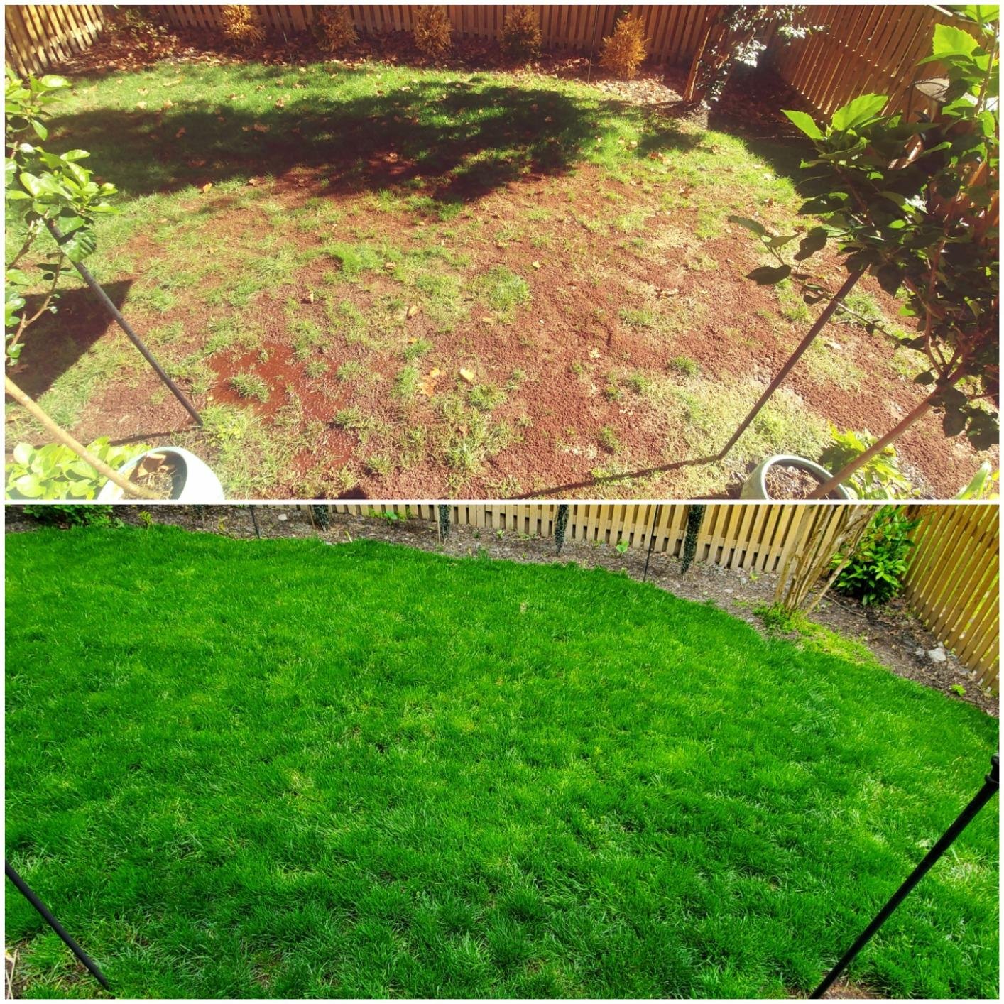 Do you want the perfect looking yard? Buy this!