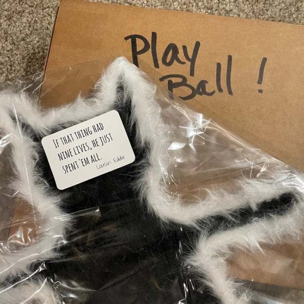 Fried Cat Rug - Funny Christmas Gift