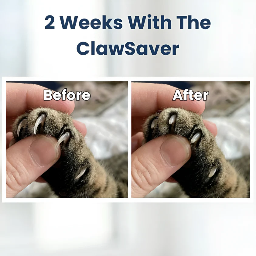 Cat ClawSaver