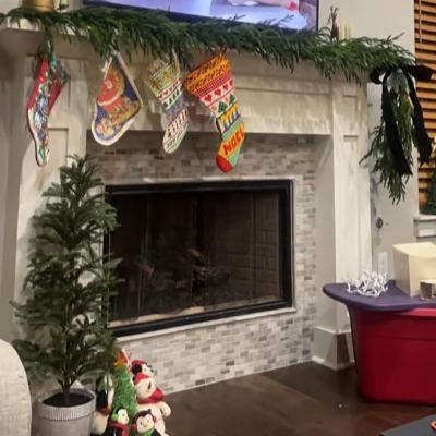  🌲Real Touch Deluxe Norfolk Pine Garland🌿