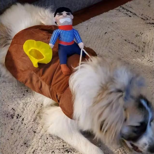 🐕‍🦺Large Cowboy Rider Dog Costume - Adjustable Pet Apparel 