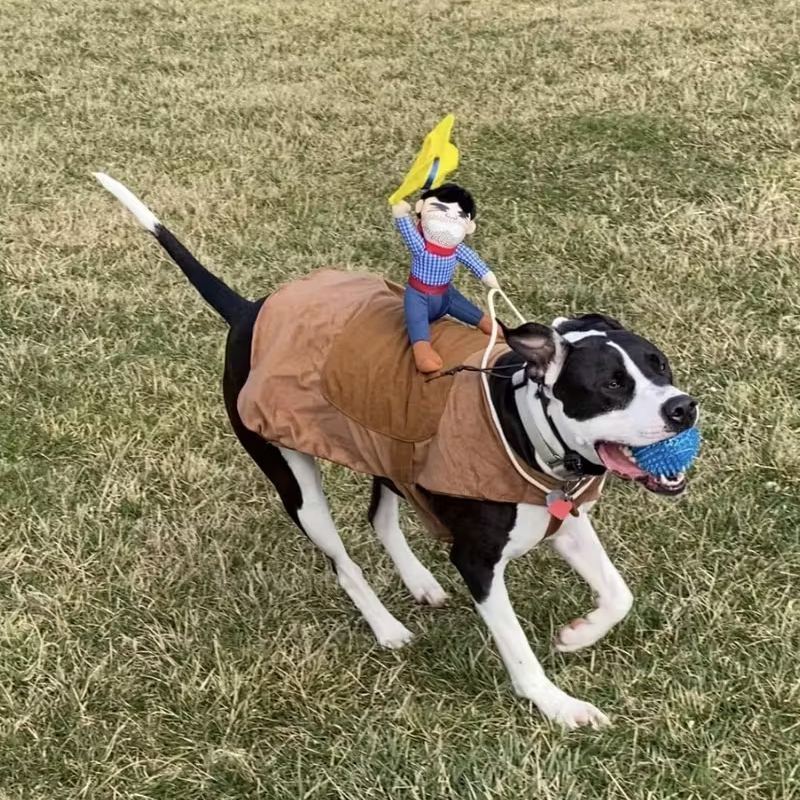 🐕‍🦺Large Cowboy Rider Dog Costume - Adjustable Pet Apparel 