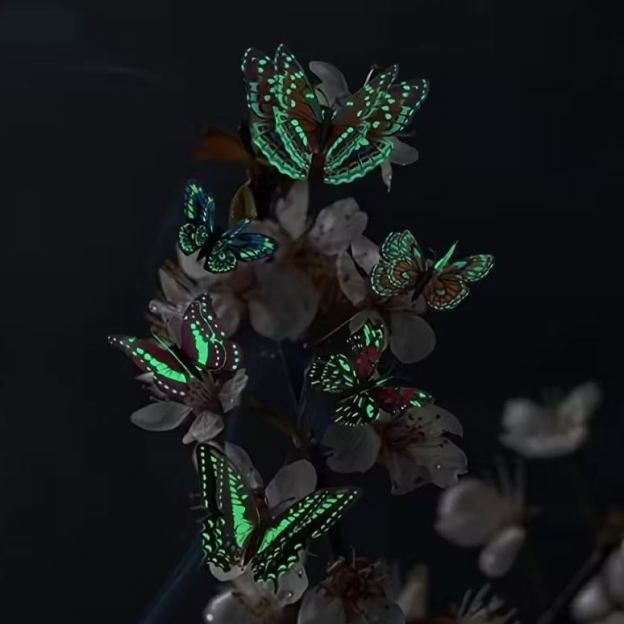 🦋12pcs 3D Butterfly Wall Stickers: Light Up Your Home with Whimsical, Colorful Flair