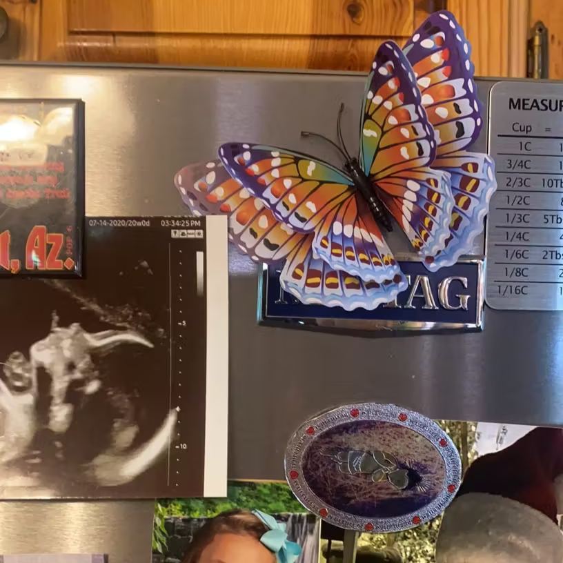 🦋12pcs 3D Butterfly Wall Stickers: Light Up Your Home with Whimsical, Colorful Flair