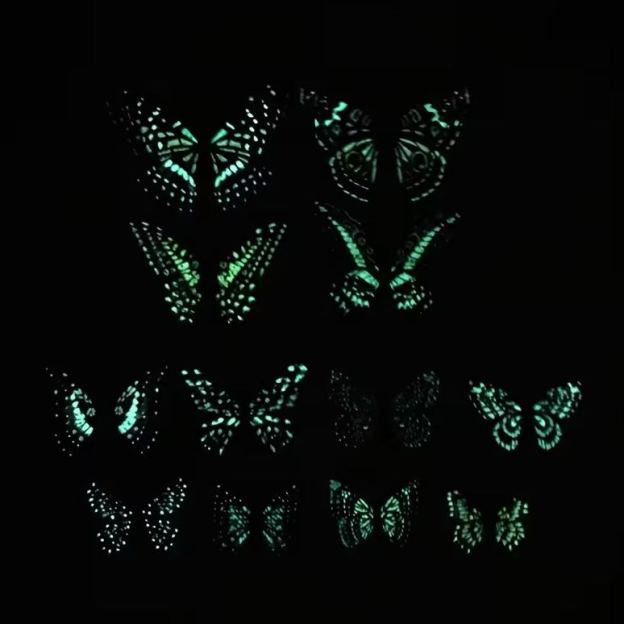 🦋12pcs 3D Butterfly Wall Stickers: Light Up Your Home with Whimsical, Colorful Flair