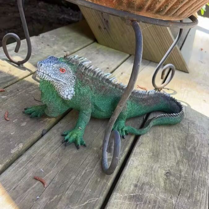 Realistic Iguana Lizard Statue