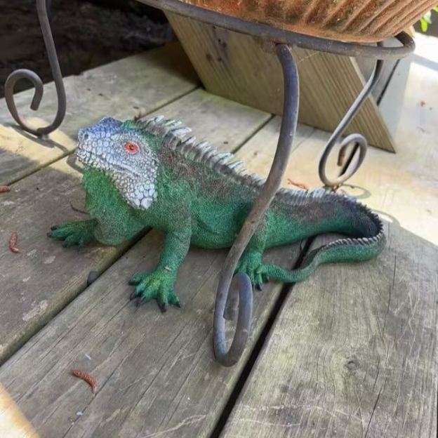 Realistic Iguana Lizard Statue