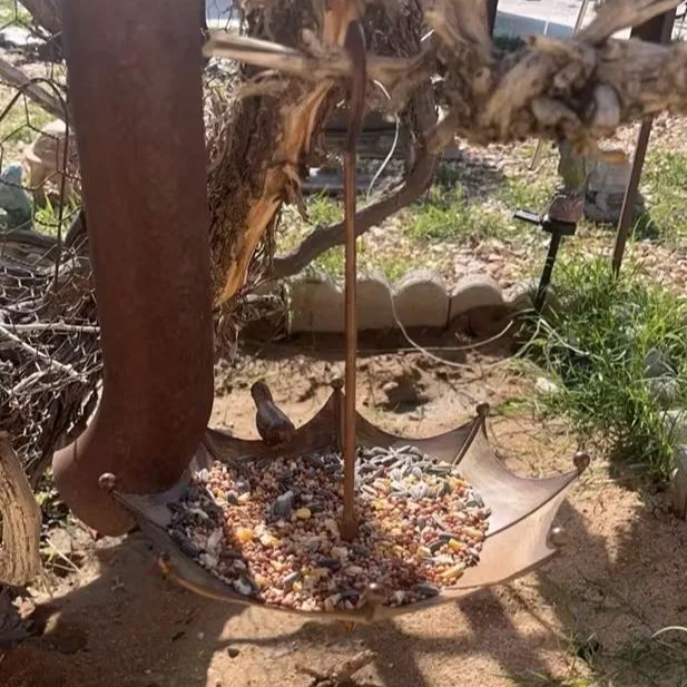 Umbrella-Shaped Outdoor Hanging Bird Feeder & Bath Tray