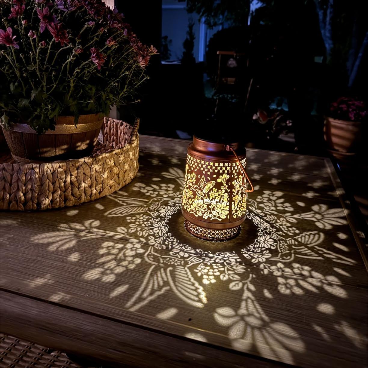 Solar Hummingbird Lanterns🐦