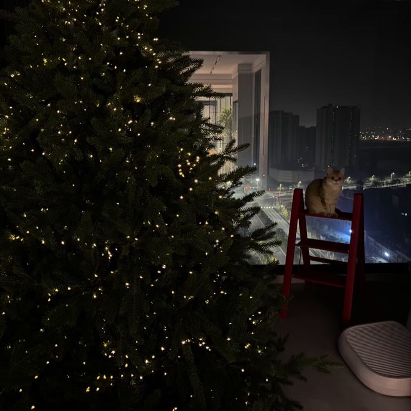 Christmas tree LED ambient light【USB remote control with 8 functions】