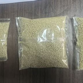 Evergreen dwarf grass seed for four seasons