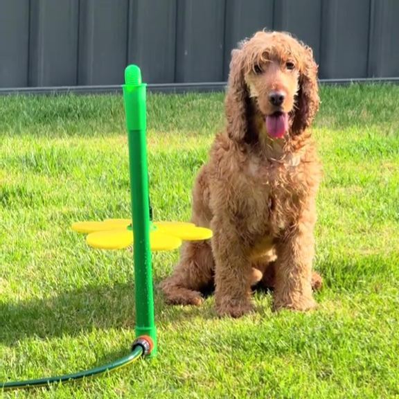 🌻Sunflower Lawn Sprinkler