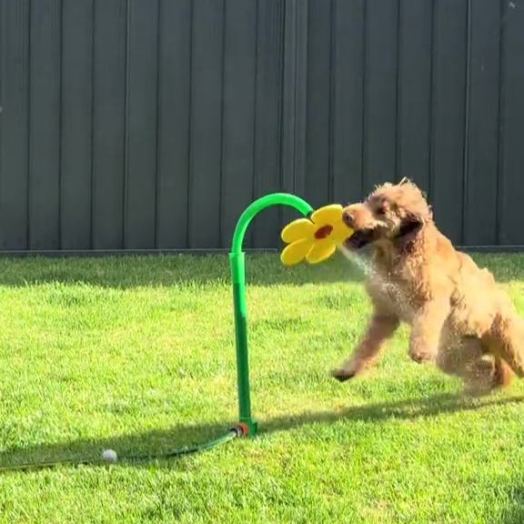 🌻Sunflower Lawn Sprinkler