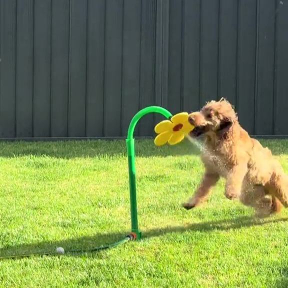 🌻Sunflower Lawn Sprinkler