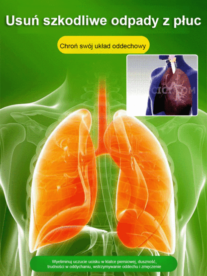 🔥Towarzysz świeżego powietrza, porady dotyczące pielęgnacji zielonych roślin doniczkowych🔥