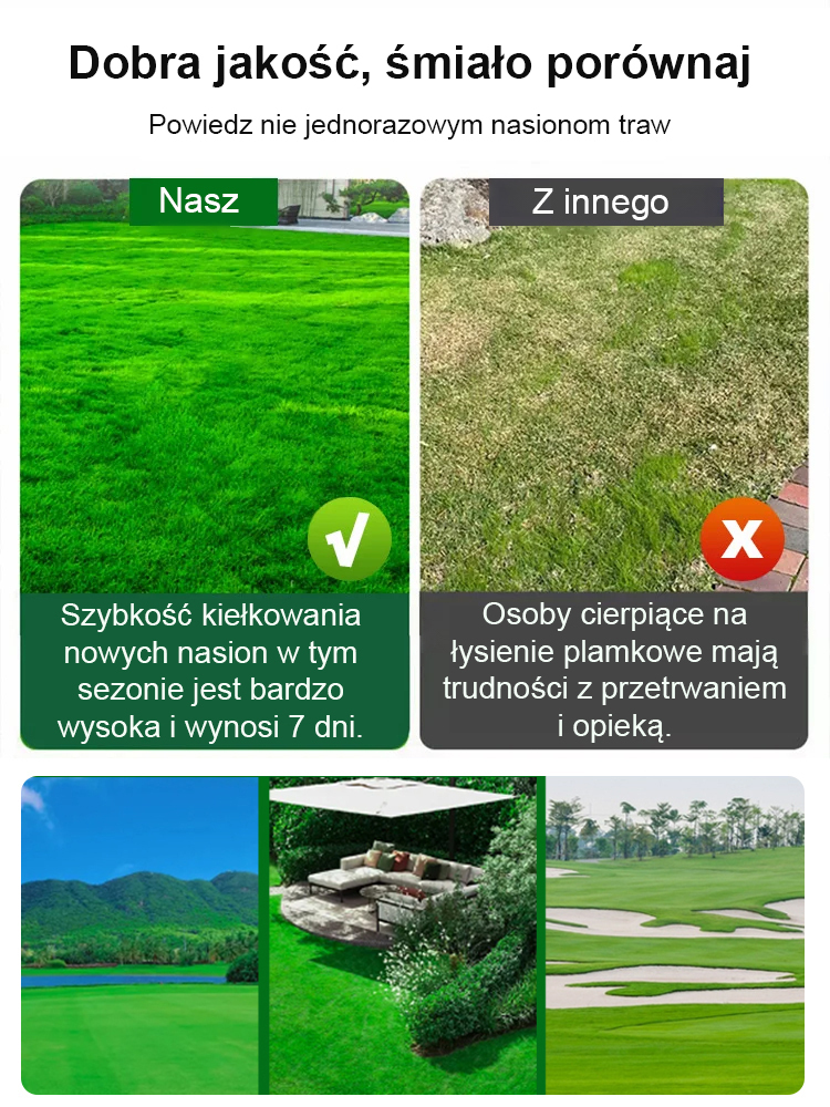 7-dniowa szybko rosnąca trawa zielona przez cały rok