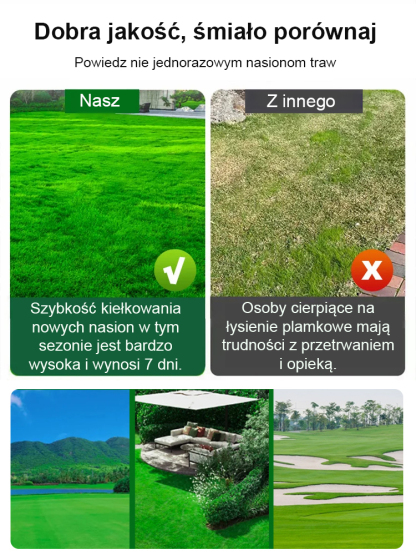 7-dniowa szybko rosnąca trawa zielona przez cały rok