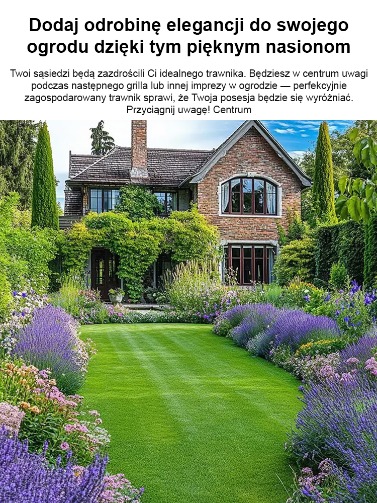 7-dniowa szybko rosnąca trawa zielona przez cały rok