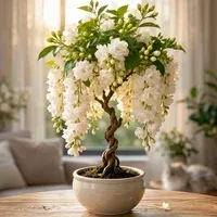 🌸 100% gwarancji przeżycia, rozkwitnięcie w ciągu 7 dni 🌸