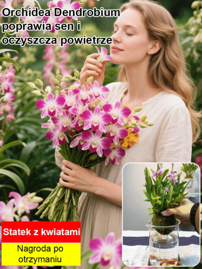 https://detail.1688.com/offer/901842626120.html?spm=a26352.13672862.offerlist.161.70661e62cNuFmp