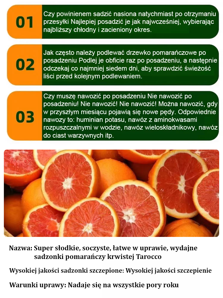 【Jedz, aby uzyskać naturalną dziewczęcą skórę】Słodka, soczysta, łatwa w uprawie i obficie owocująca 