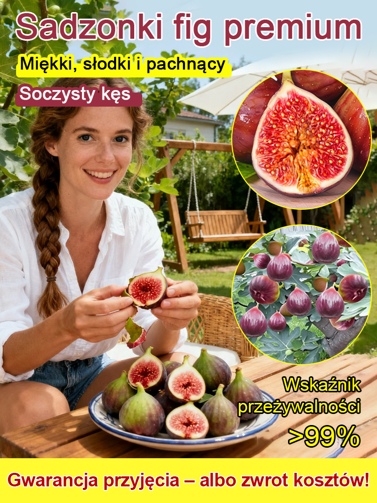 Codzienne świeże owoce na wyłączność: sadzonki fig z Grecji.