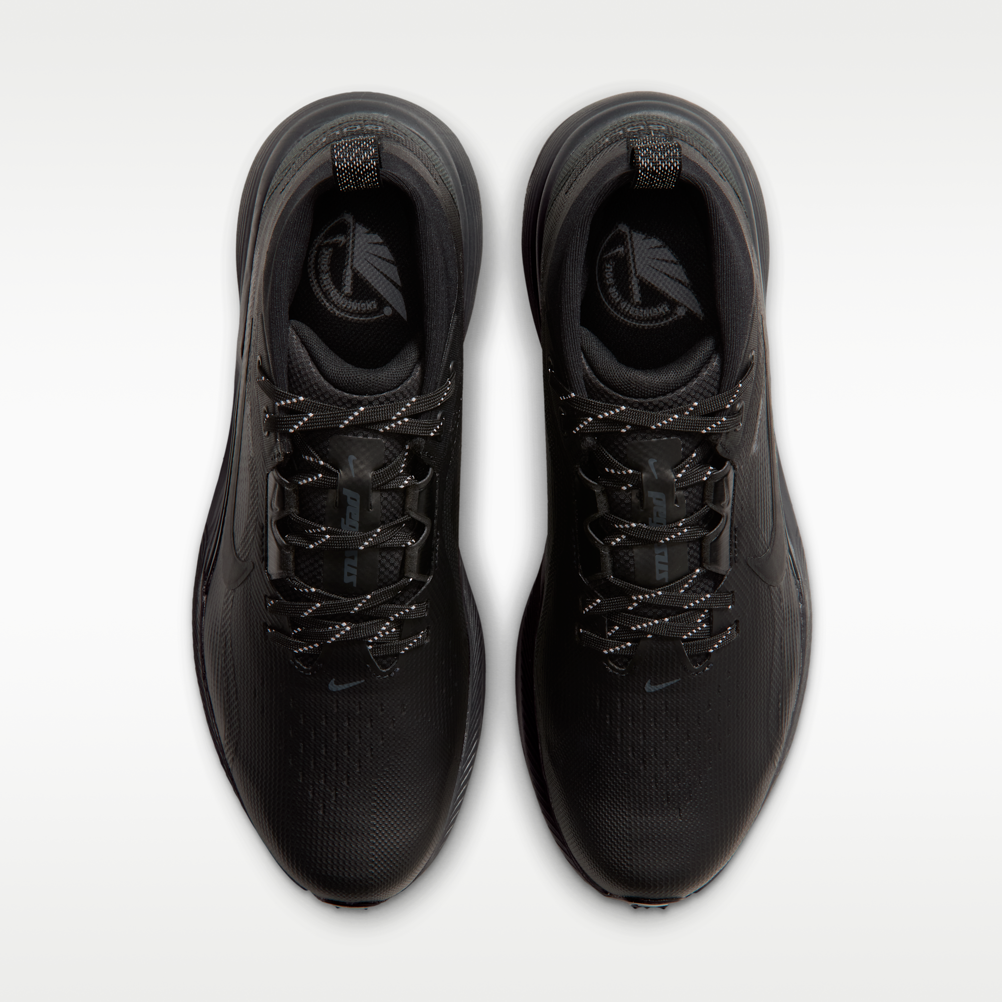 Nike Pegasus 1 G GORE-TEX - Μαύρο/Dark Smoke Grey/Μαύρο - 4