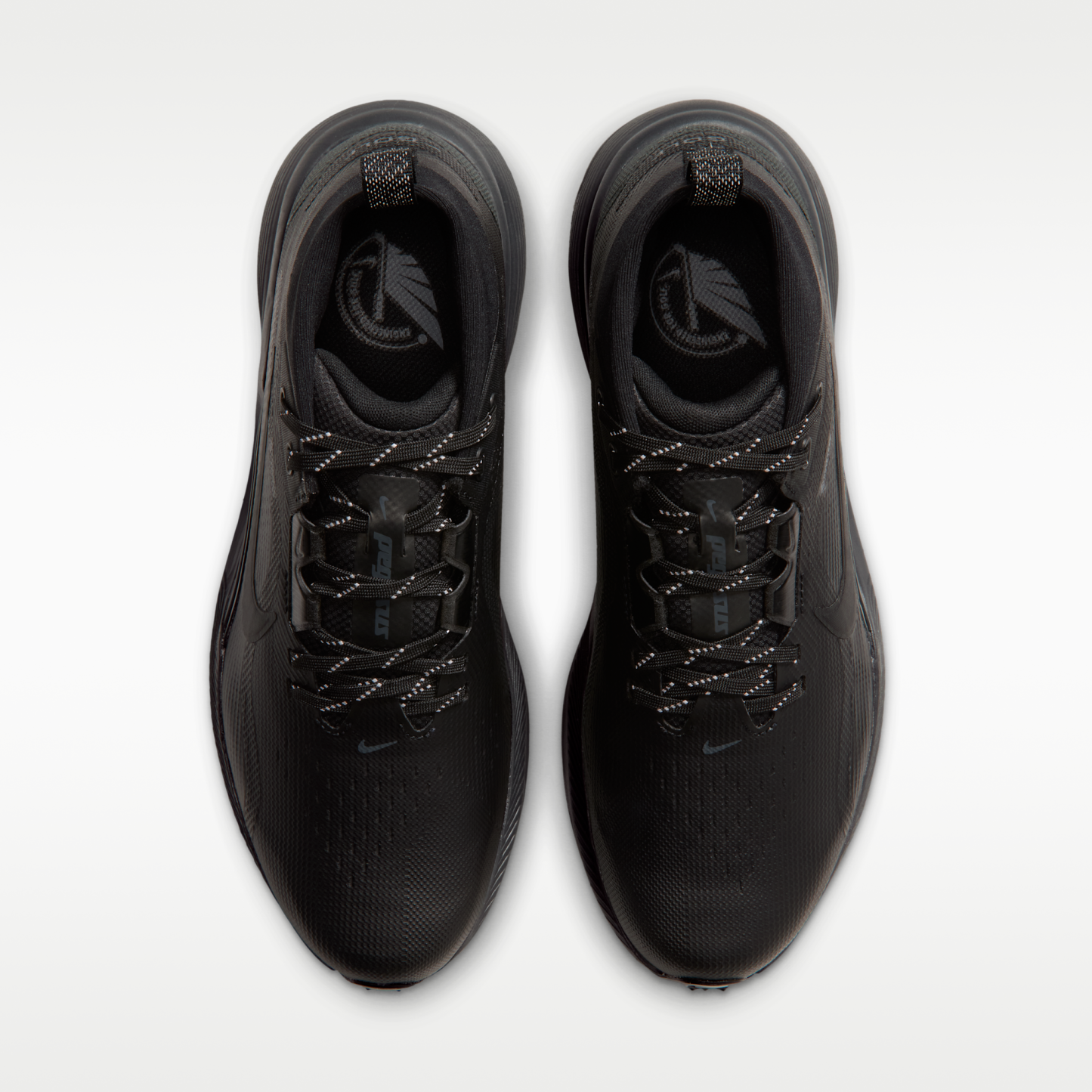 Nike Pegasus 1 G GORE-TEX - Μαύρο/Dark Smoke Grey/Μαύρο - 4