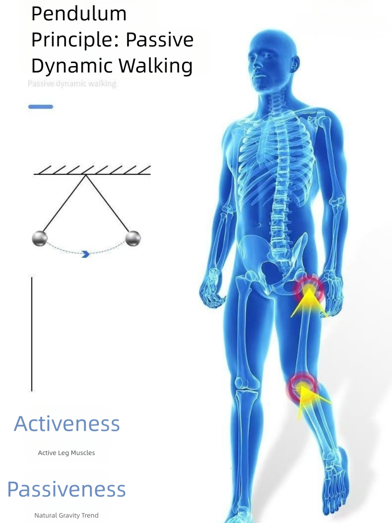 A home-use walking training device for elderly people with rheumatism
