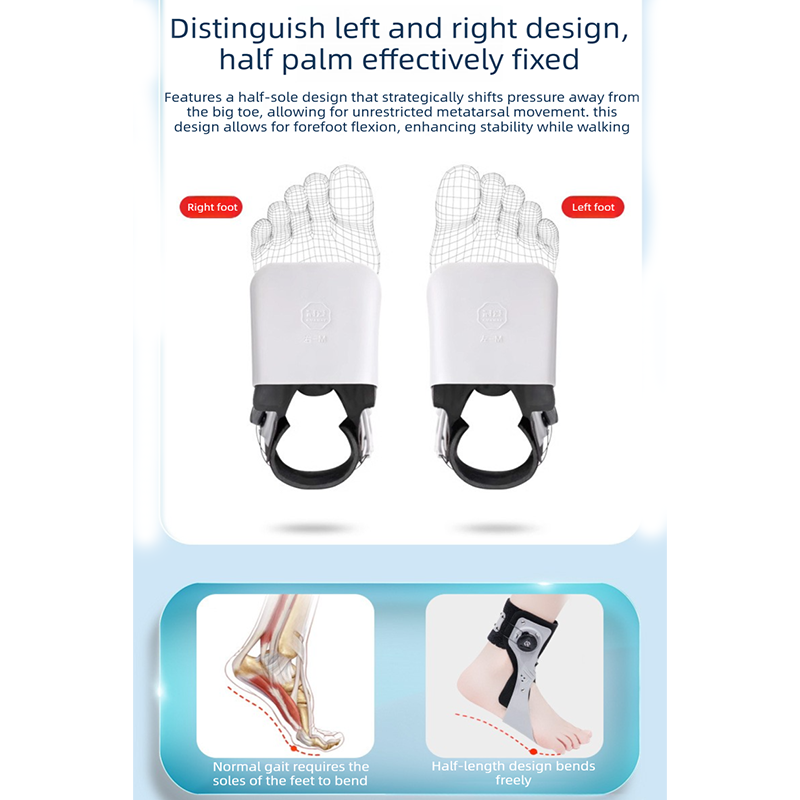 Adjustable Foot Orthosis