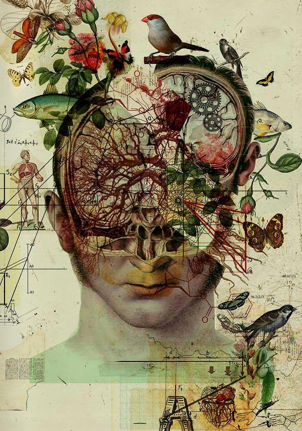 The Retro-Futuristic Anatomical Art of Diego Max | Anatomy art, Biology art, Medical art