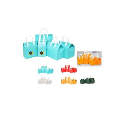 Insulated Food Transport Bags