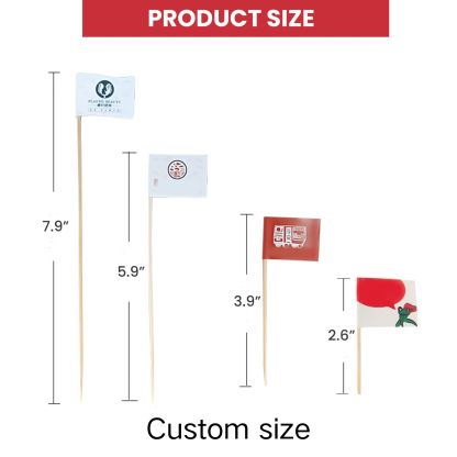 Premium Dental Floss Picks – Double-Strand Floss for Deep Cleaning, Ergonomic Handle