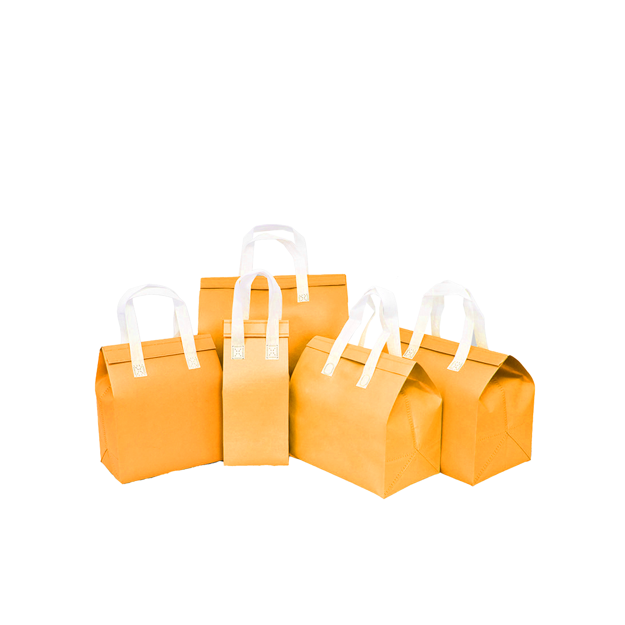 Insulated Food Transport Bags