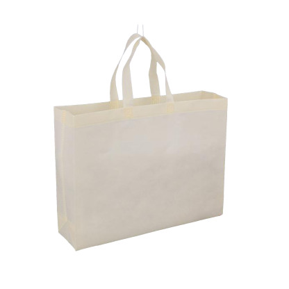Laminated Non-Woven Shopping Bag 
