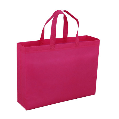 Laminated Non-Woven Shopping Bag 