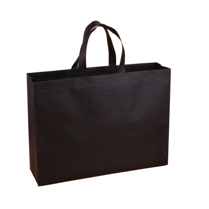 Laminated Non-Woven Shopping Bag 