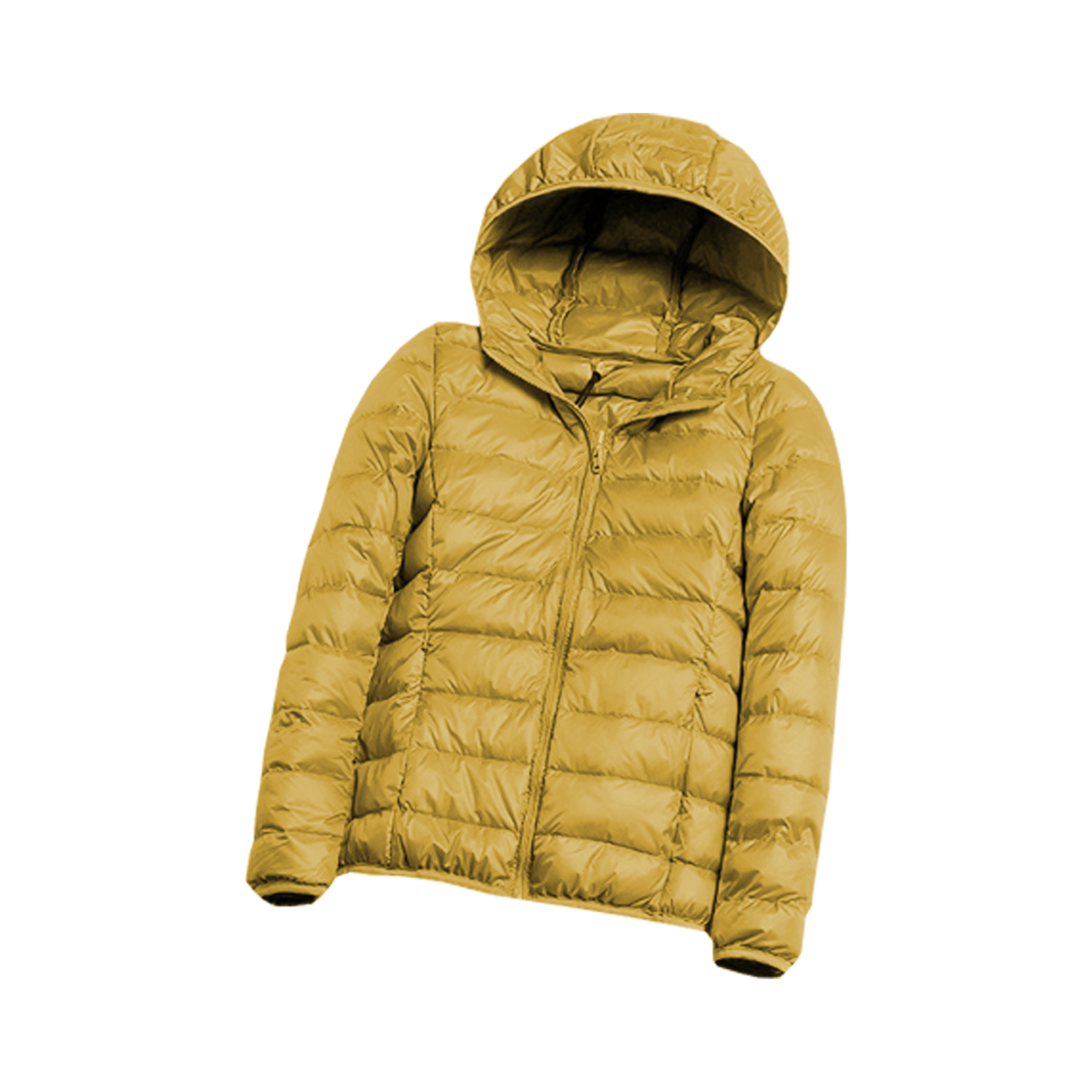 New lightweight down jacket for Winter 2023 and current fashion trend 