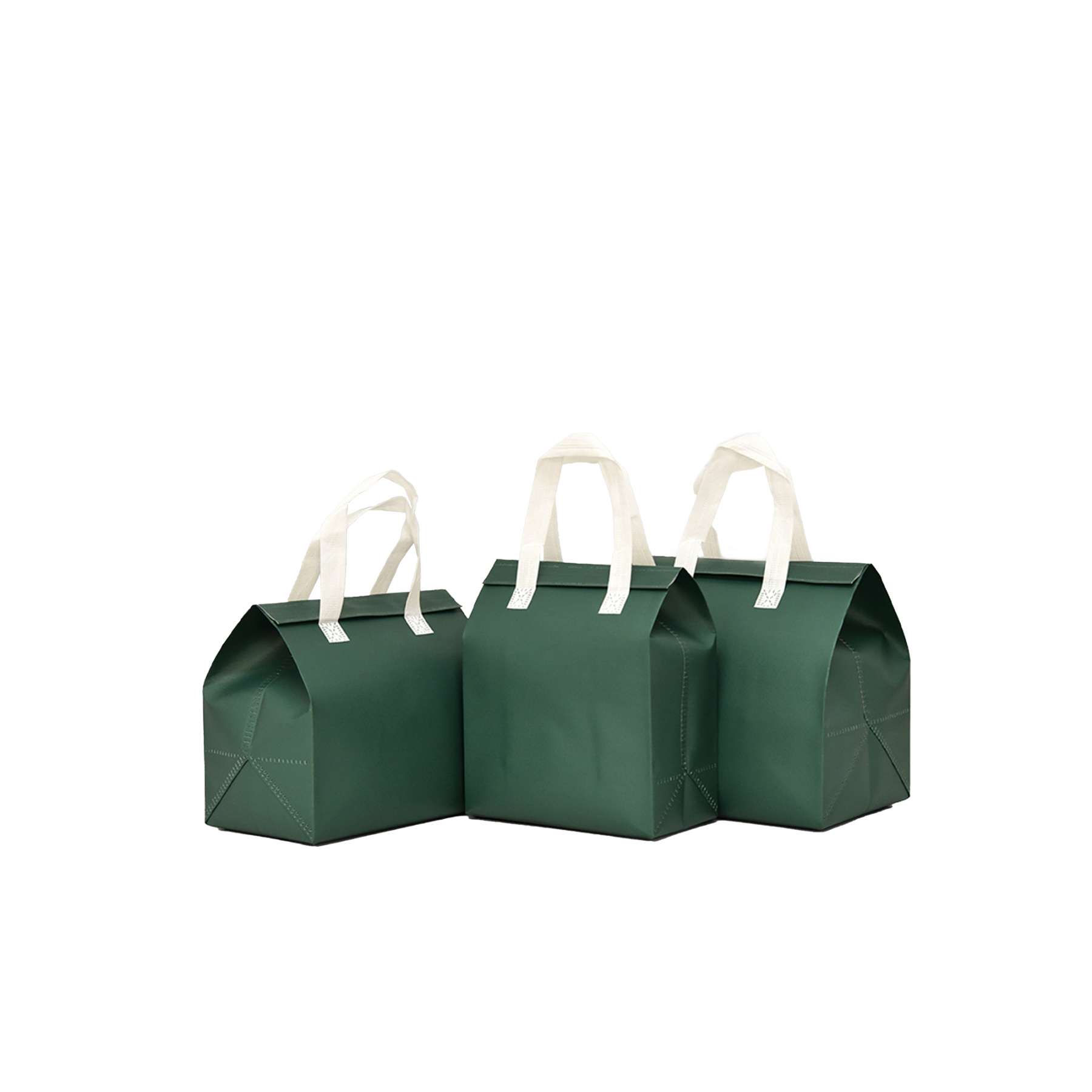 Insulated Food Transport Bags